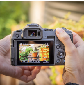 Appareil photo hybride Canon EOS R8 + objectif RF 24-50mm F4.5-6.3 IS STM (5803C013AA)