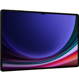 Tablette Samsung Galaxy Tab S9 Ultra 5G (256Go / 512Go)