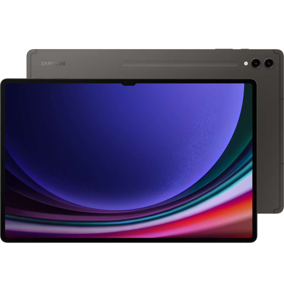 SAMSUNG GALAXY TAB S9 5G 256GB GRAPHITE - Tablette tactile - Achat & prix