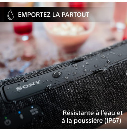 Enceinte portable Sony SRS-XG300 (SRS-XG300/BCSP6)