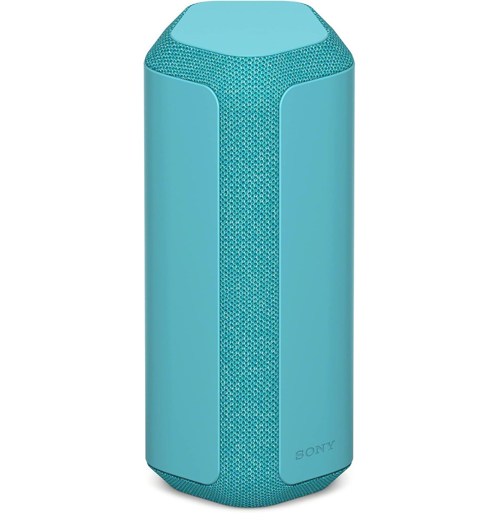 Enceinte portable srs-xb100 gris perle Sony