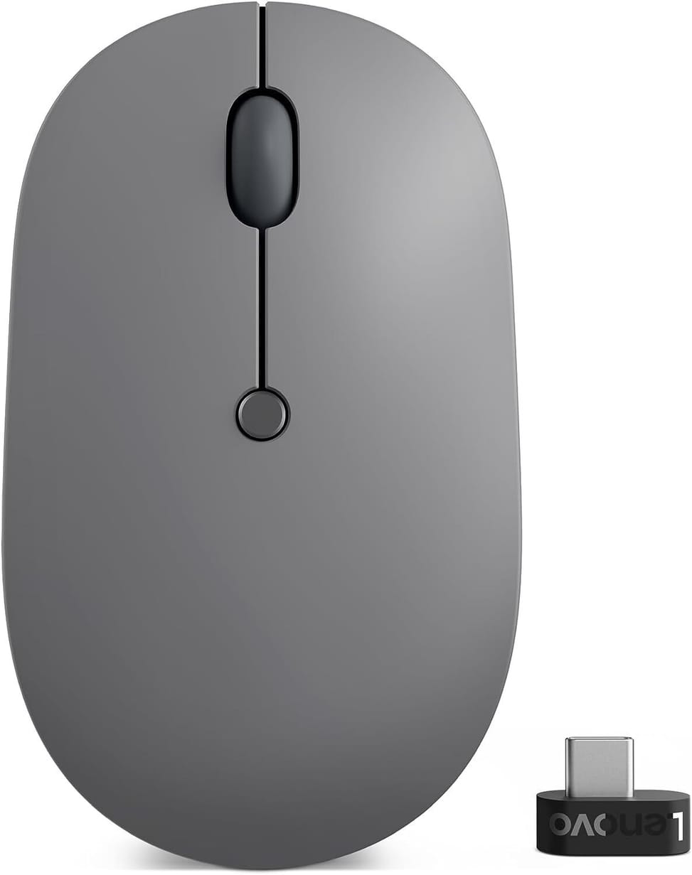 Souris sans fil USB-C Lenovo Go (GY51C21210)