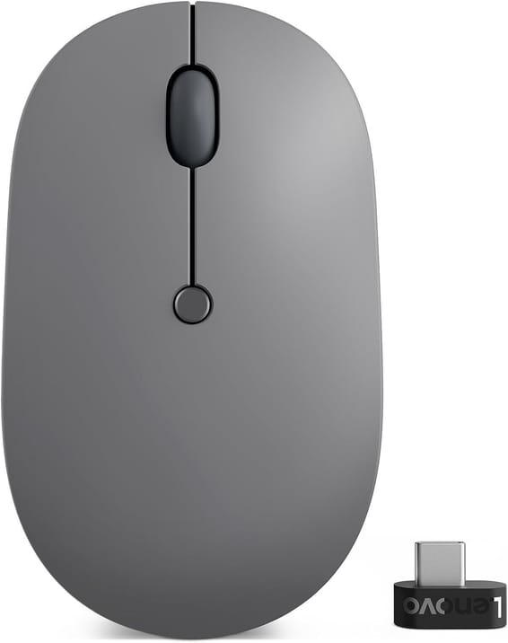Souris sans fil USB-C Lenovo Go (GY51C21210)