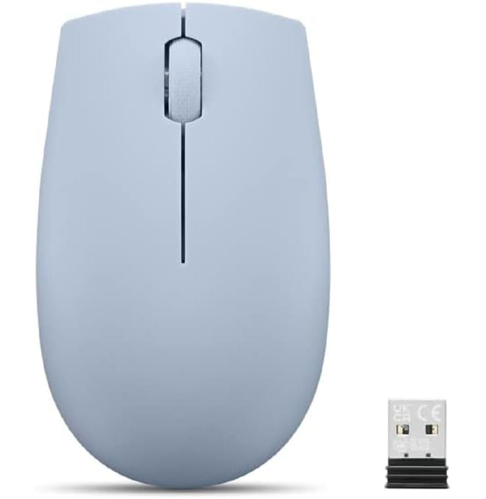 Souris sans fil USB Lenovo 300 compact