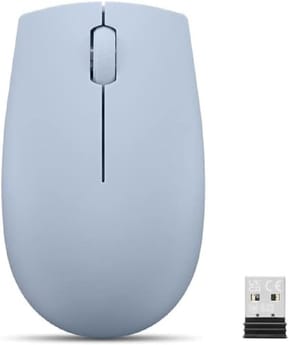 Souris sans fil USB Lenovo 300 compact