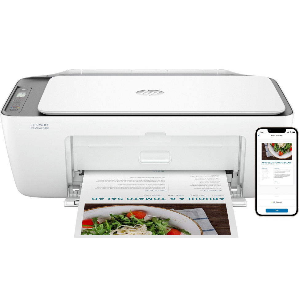Imprimante multifonction HP DeskJet Ink Advantage 2876 (6W7E6C)