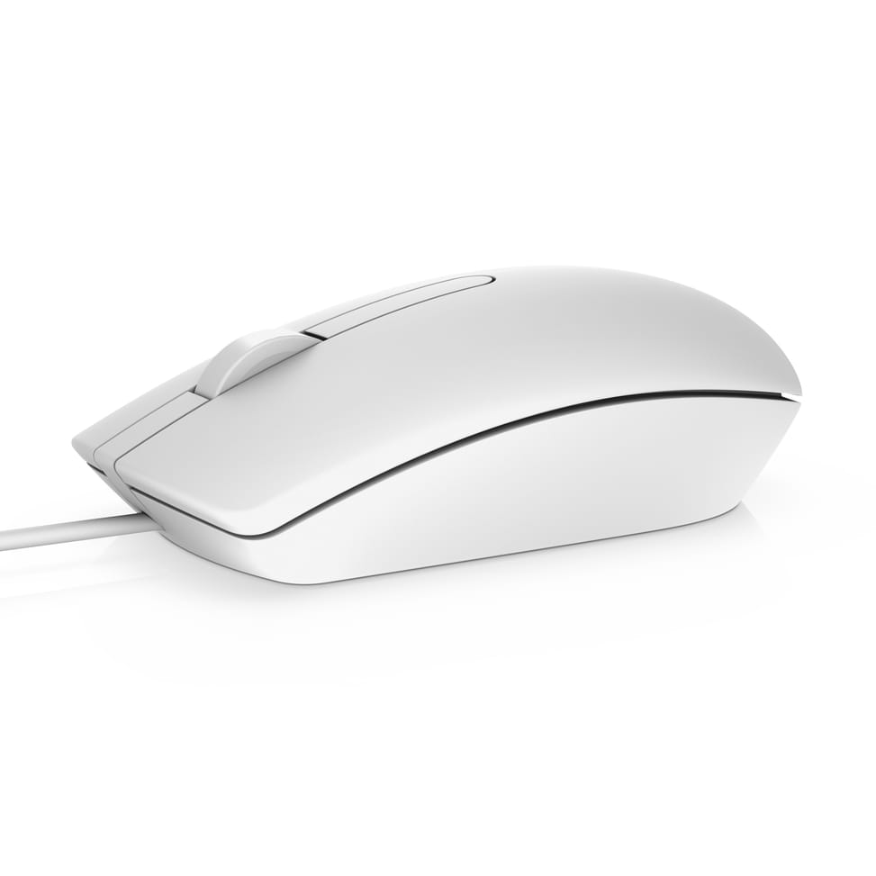 DELL MS116 souris Ambidextre USB Type-A Optique 1000 DPI 1000 dpi, USB, 1.8 m, 413 g - Souris (570-AAIP) — image 1