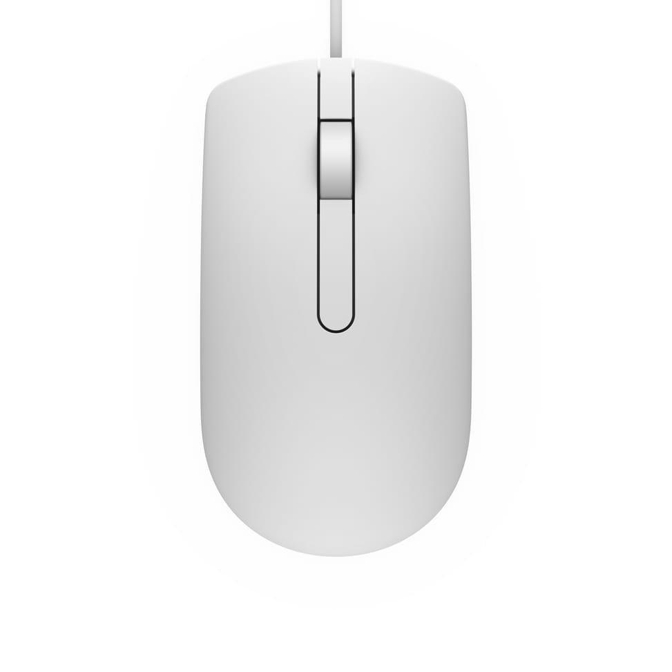 DELL MS116 souris Ambidextre USB Type-A Optique 1000 DPI 1000 dpi, USB, 1.8 m, 413 g - Souris (570-AAIP) — image 3