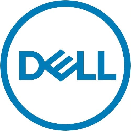 DELL 1.92TB SSD SAS 12Gbps RI FIPS-140 SED 2.5" 1,92 To 1.92To, SAS, 12Gbps, 2.5" (345-BBVJ)