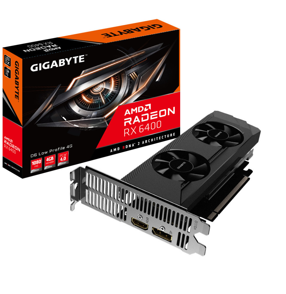 Gigabyte Radeon RX 6400 D6 LOW AMD 4 Go GDDR6 (GV-R64D6-4GL)