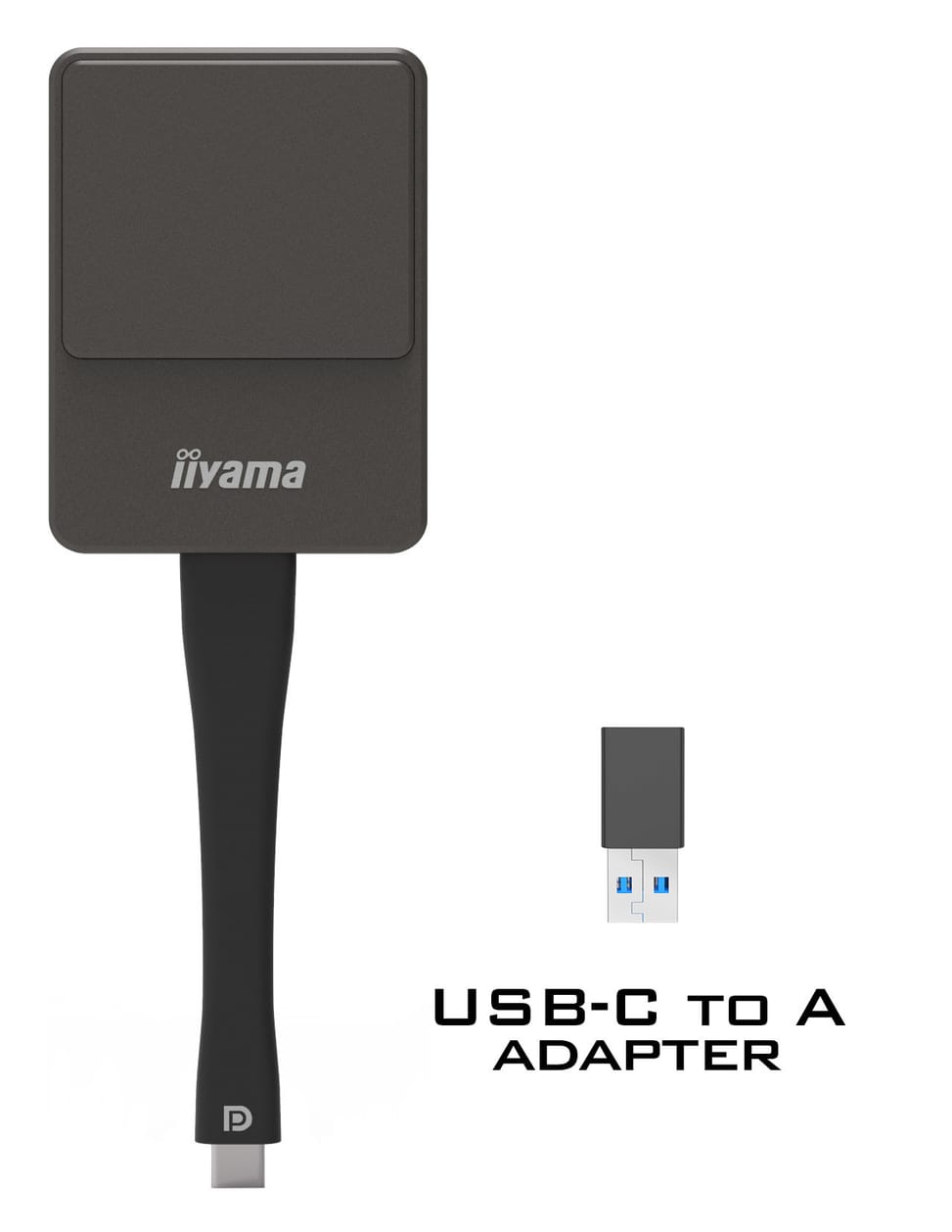 iiyama WP D002C connecteur de télévision intelligent USB 4K Ultra HD Noir, Argent (WP D002C) — image 2