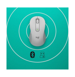 Logitech Signature M650 souris Droitier RF sans fil + Bluetooth Optique 2000 DPI (910-006255)