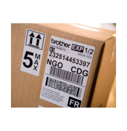 Brother QL-1110NWBC imprimante pour étiquettes Thermique directe 300 x 300 DPI 110 mm/sec Avec fil &sans fil DK Wifi Bluetooth
