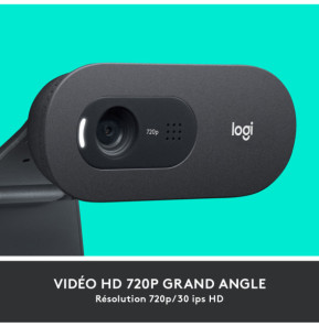 Logitech C505 HD Webcam 720p, 30 fps, 60°, USB A, 2 m, 72.91 x 66.64 x 31.91 mm, 75 g  (960-001364)