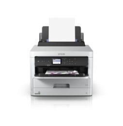 Epson WorkForce Pro WF-C529R / C579R Black XL Ink Supply Unit (C13T01C100)