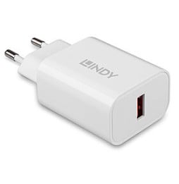 Lindy 73412 chargeur d'appareils mobiles Smartphone, Tablette Blanc Secteur Charge rapide Intérieure, Extérieure (73412)