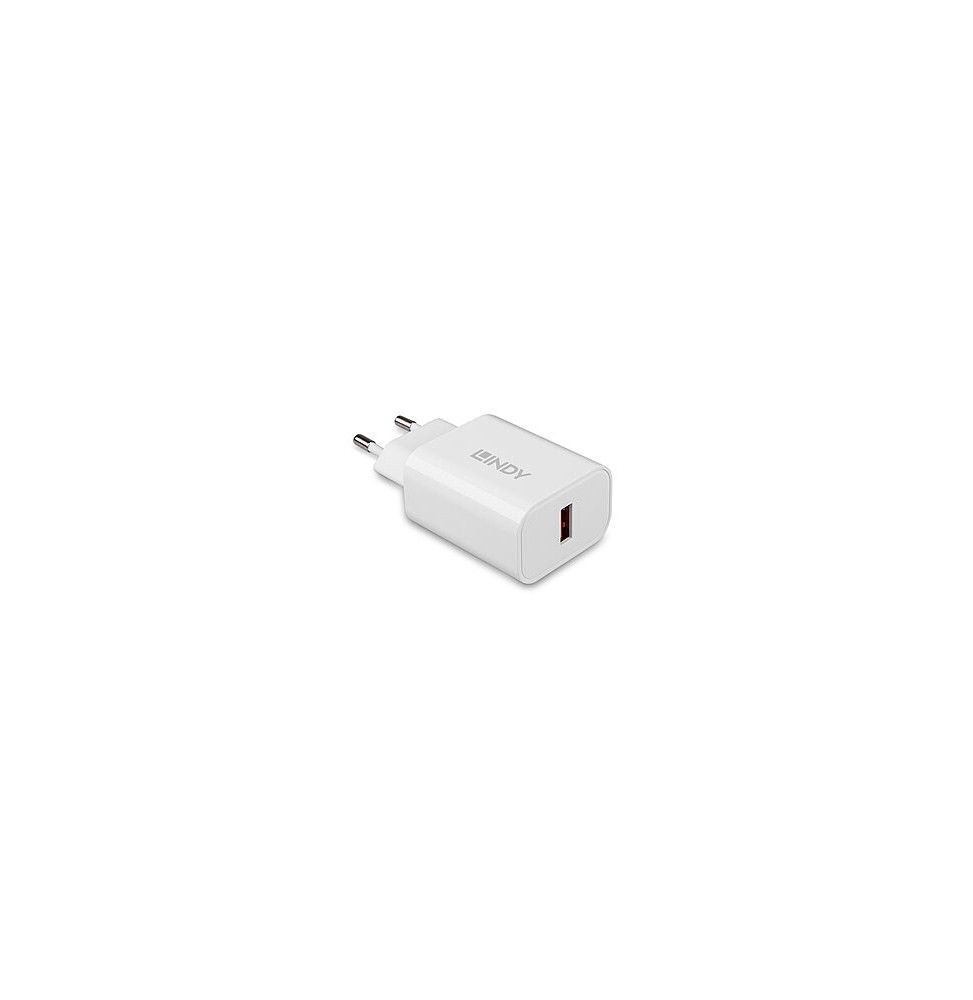 Lindy 73412 chargeur d'appareils mobiles Smartphone, Tablette Blanc Secteur Charge rapide Intérieure, Extérieure (73412)