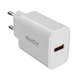 Lindy 73412 chargeur d'appareils mobiles Smartphone, Tablette Blanc Secteur Charge rapide Intérieure, Extérieure (73412)