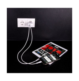 Lindy 73413 chargeur d'appareils mobiles Universel Blanc Secteur Charge rapide Intérieure (73413)