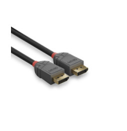 Lindy 36481 câble DisplayPort 1 m Noir, Gris Câble DisplayPort 1.4, Anthra Line, 1m  (36481)