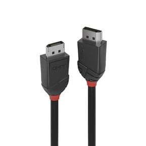 Lindy 36491 câble DisplayPort 1 m Noir Câble DisplayPort 1.2, Black Line, 1m  (36491)