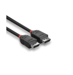 Lindy 36491 câble DisplayPort 1 m Noir Câble DisplayPort 1.2, Black Line, 1m  (36491)