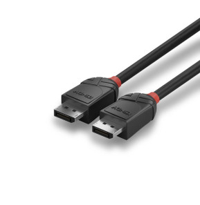 Lindy 36491 câble DisplayPort 1 m Noir Câble DisplayPort 1.2, Black Line, 1m  (36491)