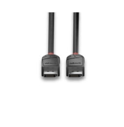 Lindy 36492 câble DisplayPort 2 m Noir Câble DisplayPort 1.2, Black Line, 2m  (36492)