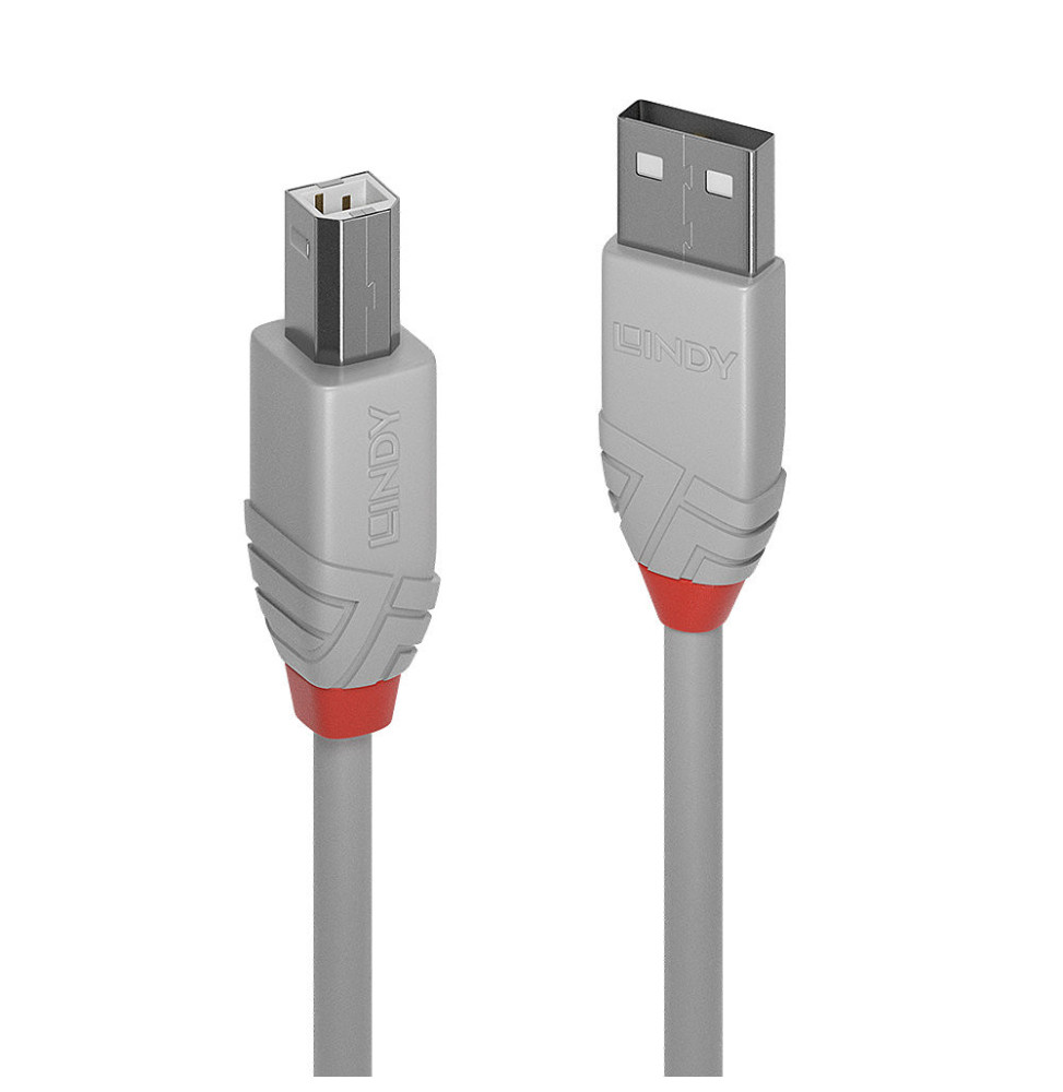 Lindy 36683 câble USB 2 m USB 2.0 USB A USB B Gris Câble USB 2.0