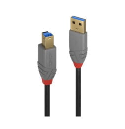 Lindy 36742 câble USB 2 m USB 3.2 Gen 1 (3.1 Gen 1) USB A USB B Noir, Gris (36742)
