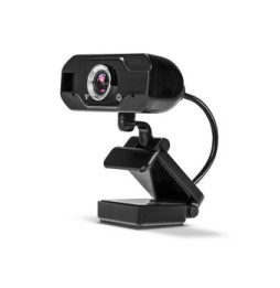 Lindy 43300 webcam 1920 x 1080 pixels USB 2.0 Noir Webcam Full HD 1080p avec Microphone  (43300)