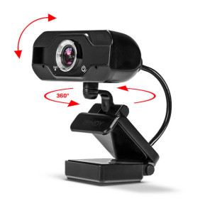 Lindy 43300 webcam 1920 x 1080 pixels USB 2.0 Noir Webcam Full HD 1080p avec Microphone  (43300)