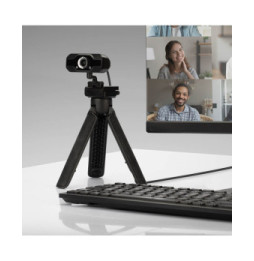 Lindy 43300 webcam 1920 x 1080 pixels USB 2.0 Noir Webcam Full HD 1080p avec Microphone  (43300)