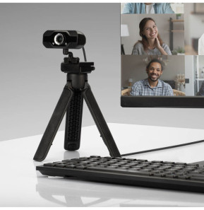 Lindy 43300 webcam 1920 x 1080 pixels USB 2.0 Noir Webcam Full HD 1080p avec Microphone  (43300)