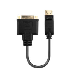 Lindy 41004 câble vidéo et adaptateur 0,15 m DisplayPort DVI-D Noir Convertisseur DisplayPort vers DVI  (41004)