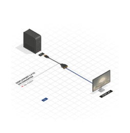 Lindy 41004 câble vidéo et adaptateur 0,15 m DisplayPort DVI-D Noir Convertisseur DisplayPort vers DVI  (41004)
