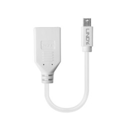 Lindy 41021 câble DisplayPort 0,15 m Mini DisplayPort Blanc (41021)