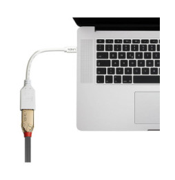 Lindy 41021 câble DisplayPort 0,15 m Mini DisplayPort Blanc (41021)