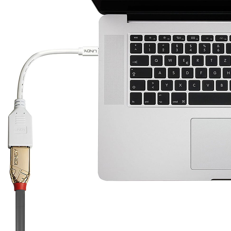 Lindy 41021 câble DisplayPort 0,15 m Mini DisplayPort Blanc (41021) — image 3