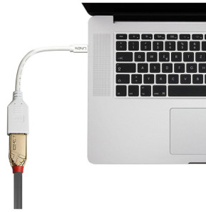 Lindy 41021 câble DisplayPort 0,15 m Mini DisplayPort Blanc (41021)