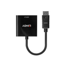 Lindy 41734 câble vidéo et adaptateur Noir Convertisseur Actif DisplayPort vers DVI  (41734)