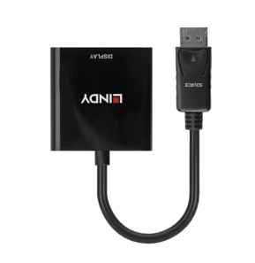 Lindy 41734 câble vidéo et adaptateur Noir Convertisseur Actif DisplayPort vers DVI  (41734)