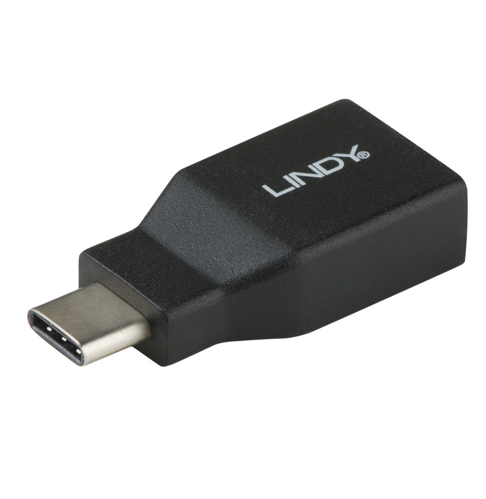 Lindy 41899 changeur de genre de câble USB 3.1-C USB 3.1-A Noir Adaptateur USB type C mâle vers A femelle  (41899)