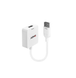 Lindy 38146 câble vidéo et adaptateur HDMI Type A (Standard) DisplayPort Blanc Convertisseur HDMI vers DisplayPort  (38146)