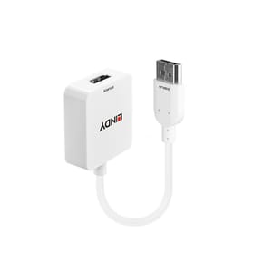 Lindy 38146 câble vidéo et adaptateur HDMI Type A (Standard) DisplayPort Blanc Convertisseur HDMI vers DisplayPort  (38146)