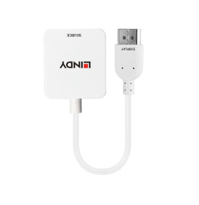 Lindy 38146 câble vidéo et adaptateur HDMI Type A (Standard) DisplayPort Blanc Convertisseur HDMI vers DisplayPort  (38146)