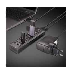 Lindy 10 Port USB 3.0 Hub with On/Off Switches USB 3.2 Gen 1 (3.1 Gen 1) Type-B 5000 Mbit/s Noir (43370)