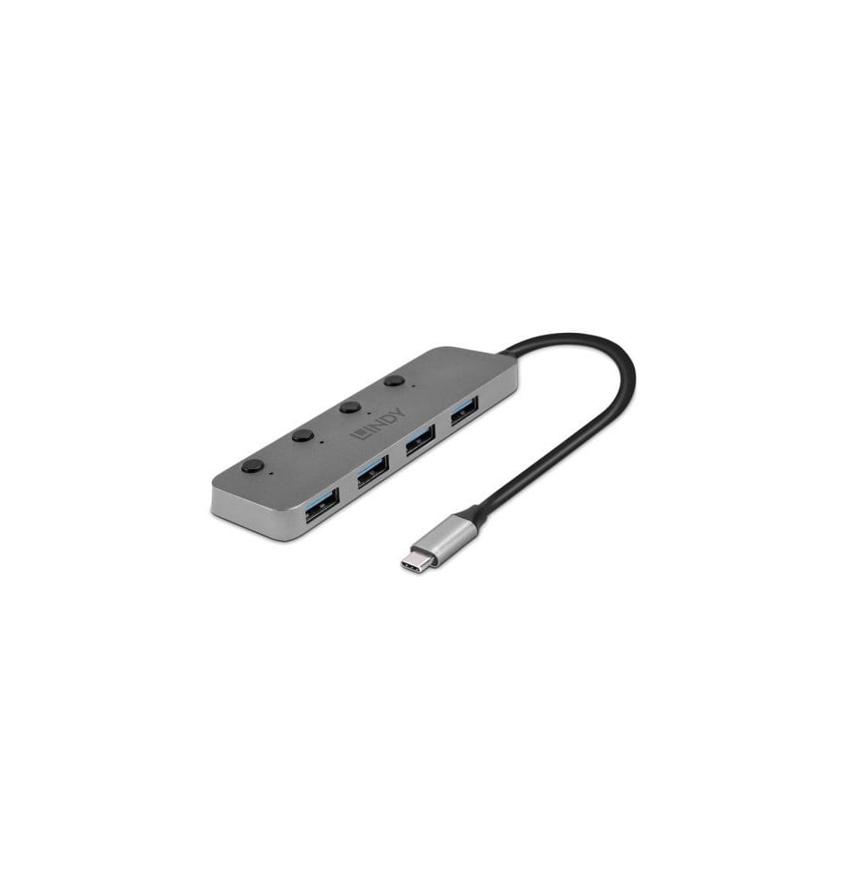 Lindy 43383 hub & concentrateur USB 3.2 Gen 1 (3.1 Gen 1) Type-C 5000 Mbit/s Gris (43383)