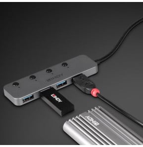 Lindy 43383 hub & concentrateur USB 3.2 Gen 1 (3.1 Gen 1) Type-C 5000 Mbit/s Gris (43383)