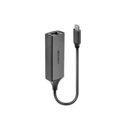 Lindy 43299 carte et adaptateur d'interfaces Convertisseur USB 3.1 Type C vers Ethernet Gigabit  (43299)